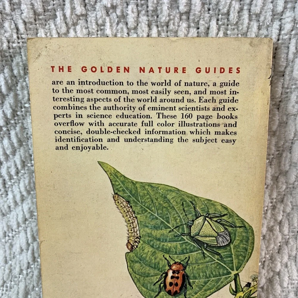 1966 A Golden Nature Guide INSECT PESTS by Herbert Zimm Home Garden Field Forest - Picture 9 of 16